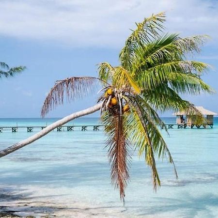 Sunset Hill Lodge Bora Bora Ngoại thất bức ảnh