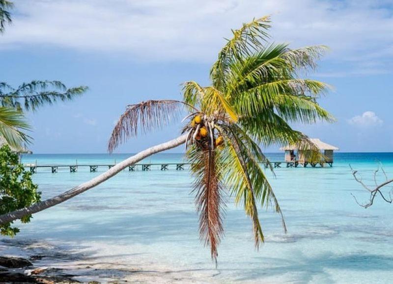 Sunset Hill Lodge Bora Bora Ngoại thất bức ảnh